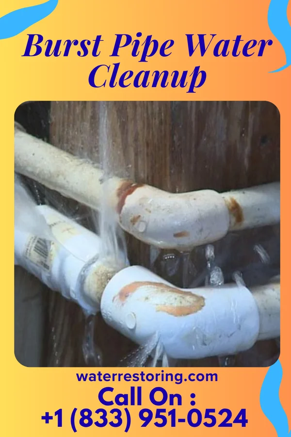 Burst Pipe Water Cleanup in St. Georges, DE